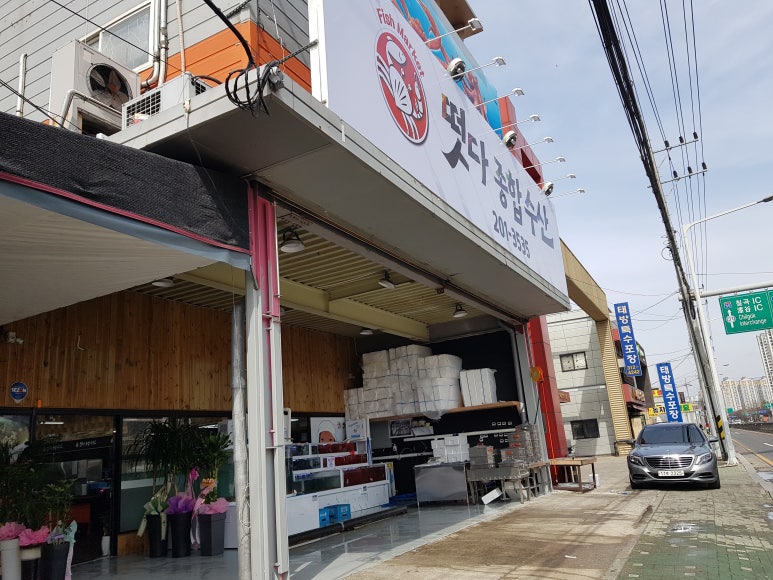 오늘도회떳다 이미지