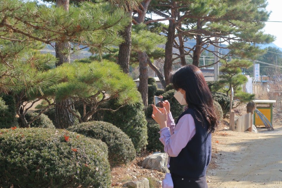 샘물농장 이미지