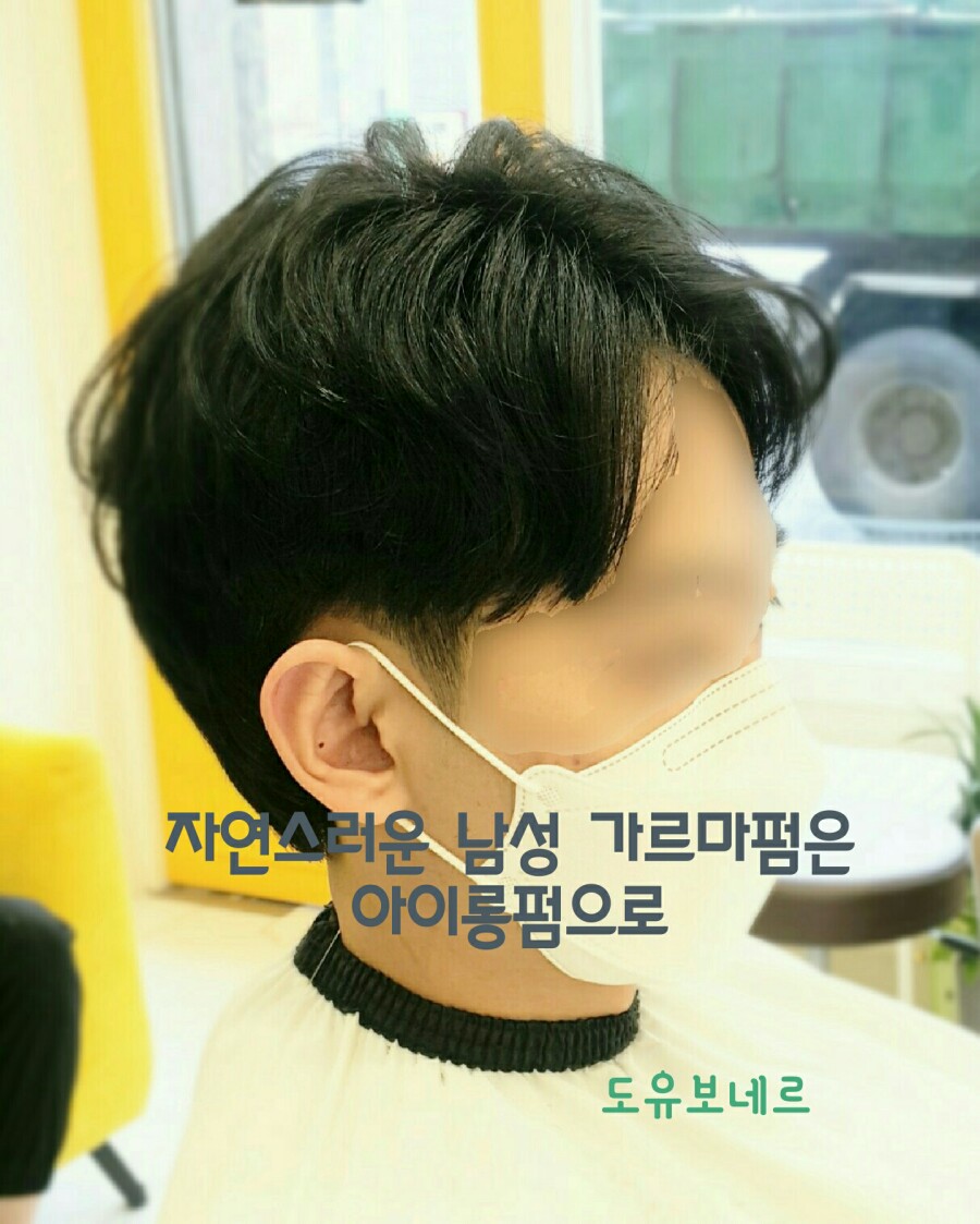 도유보네르 이미지