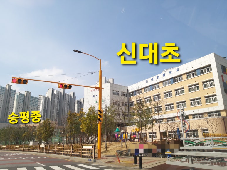순천승평중학교 이미지
