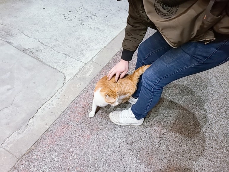 맛있는고기에솜씨를더하다 울산매곡점 이미지