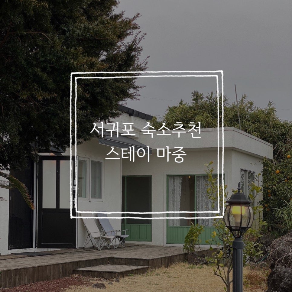 스테이마중 이미지