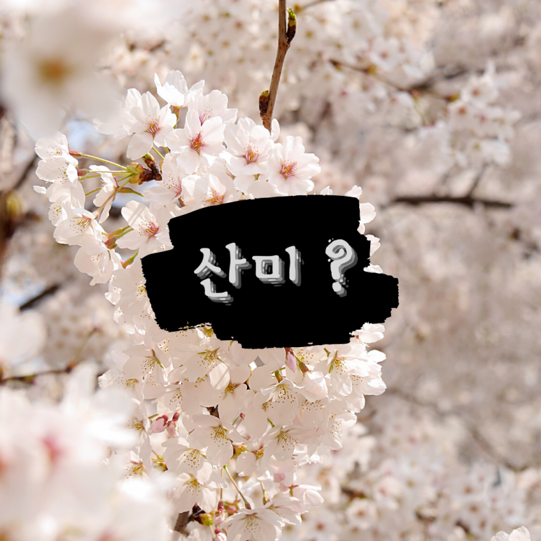 가비스토리 이미지