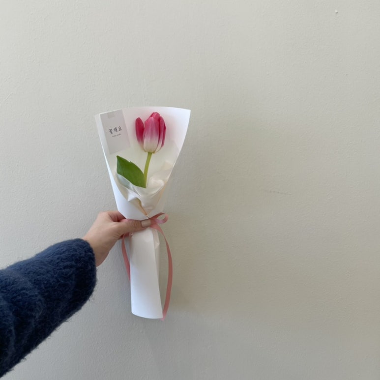 꽃해요 이미지
