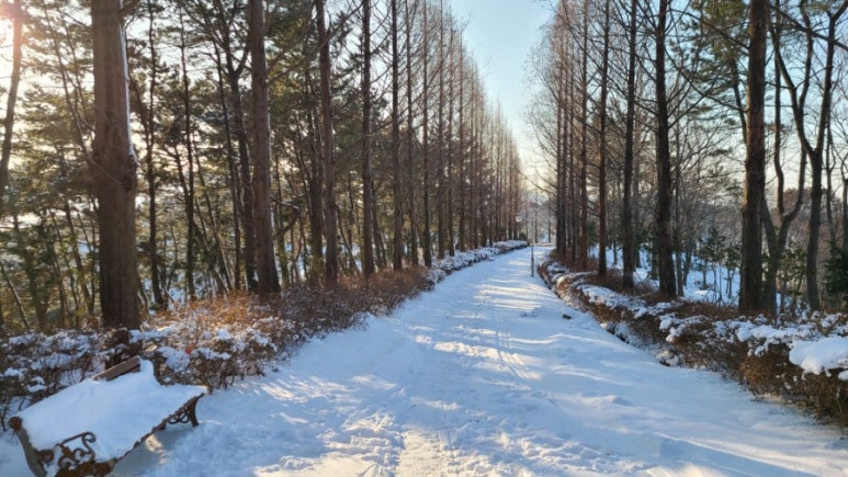 서림글로벌 이미지