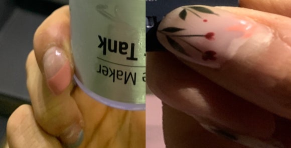 여우손톱 이미지