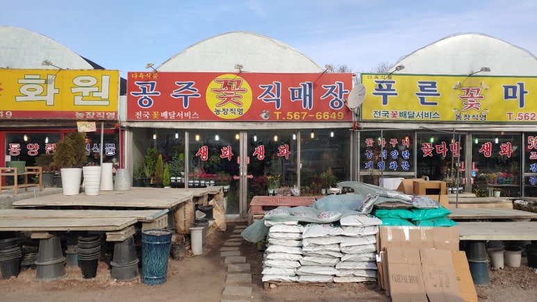 공주꽃직매장 이미지