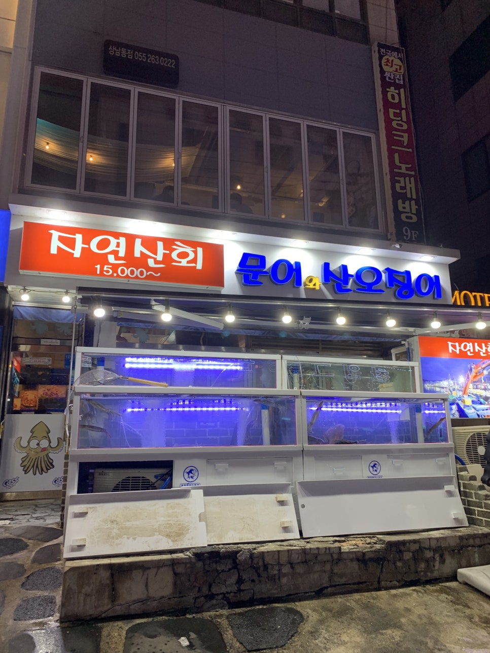 문어와산오징어 이미지