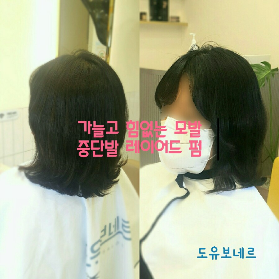 도유보네르 이미지