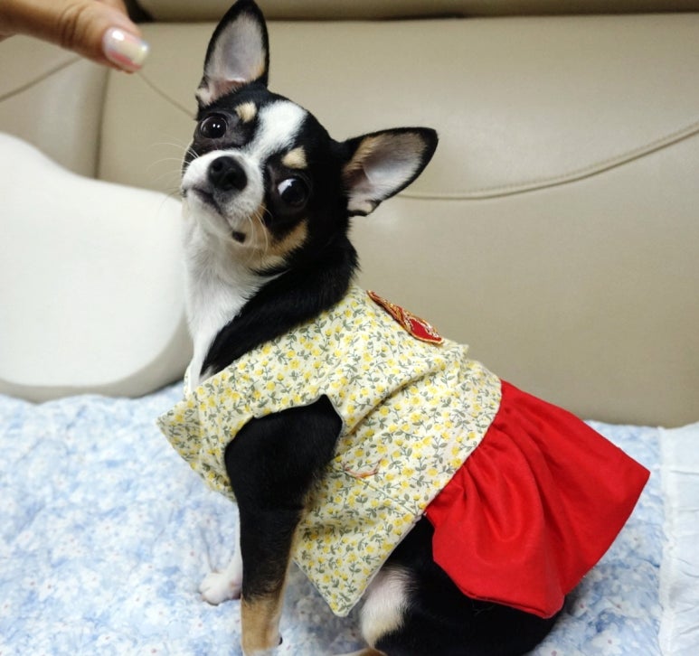 모띠앙 이미지