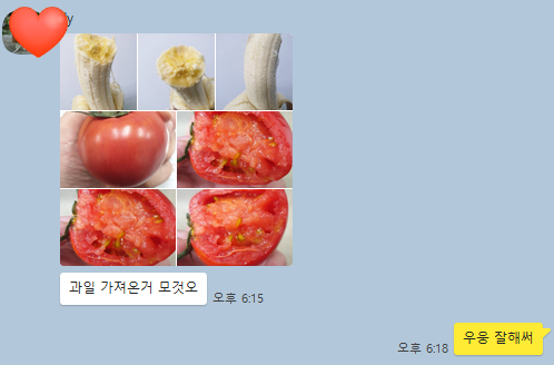 해피푸릇 이미지