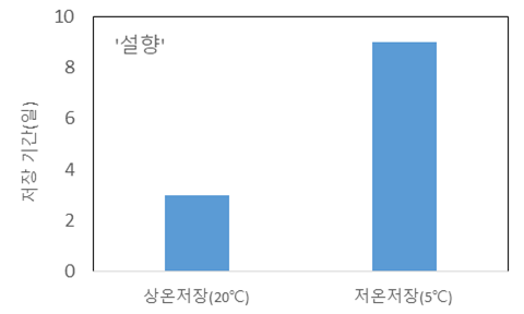 더신선유통 이미지