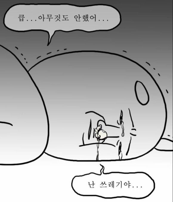리코플러스 이미지