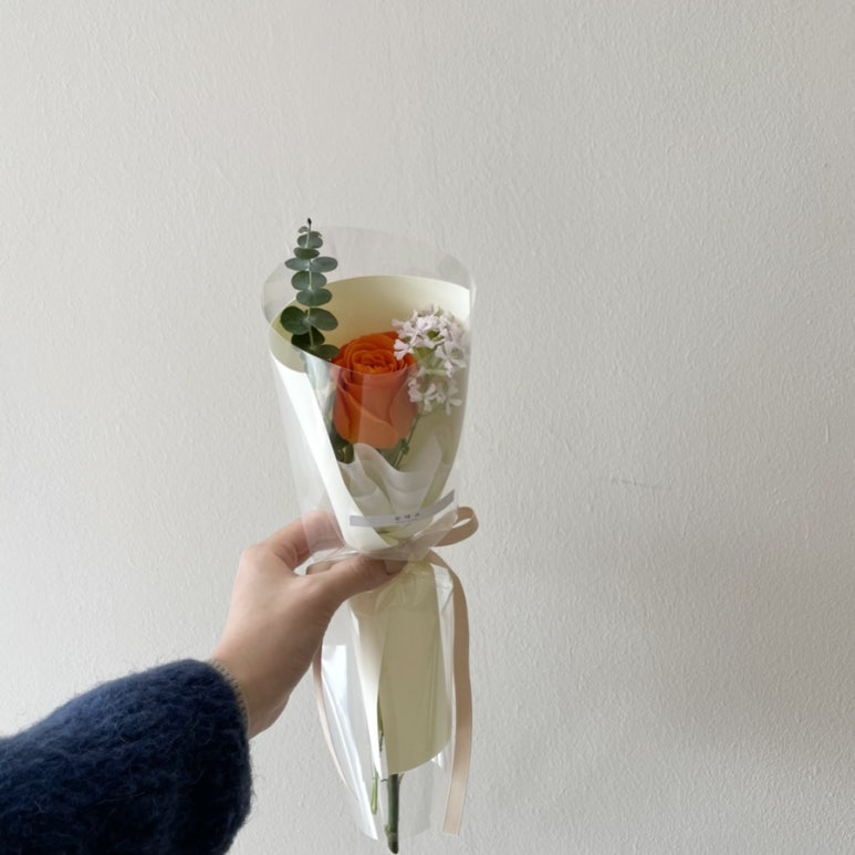 꽃해요 이미지