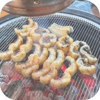 천지연민물 이미지