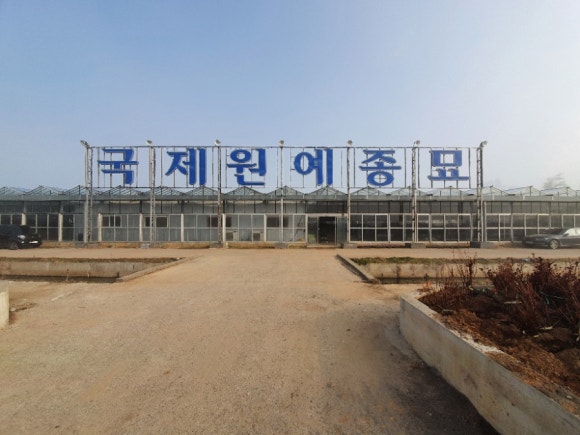 연세원예조경 이미지
