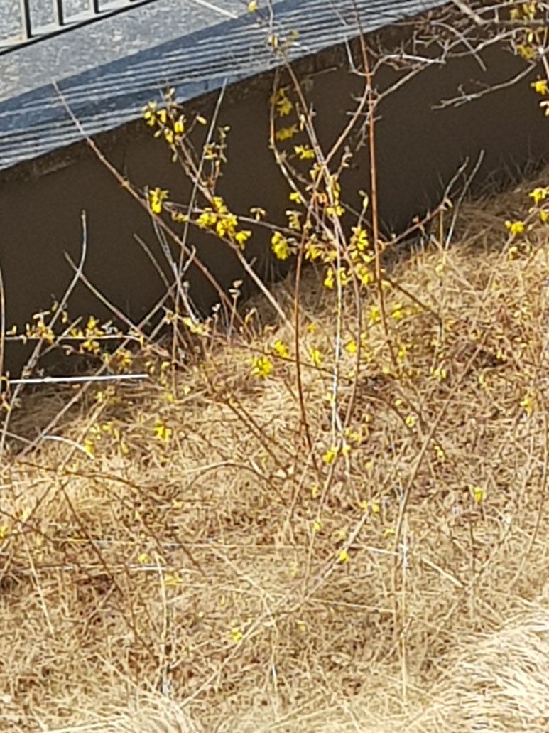 서광주유치원 이미지