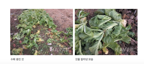 수연마트 이미지