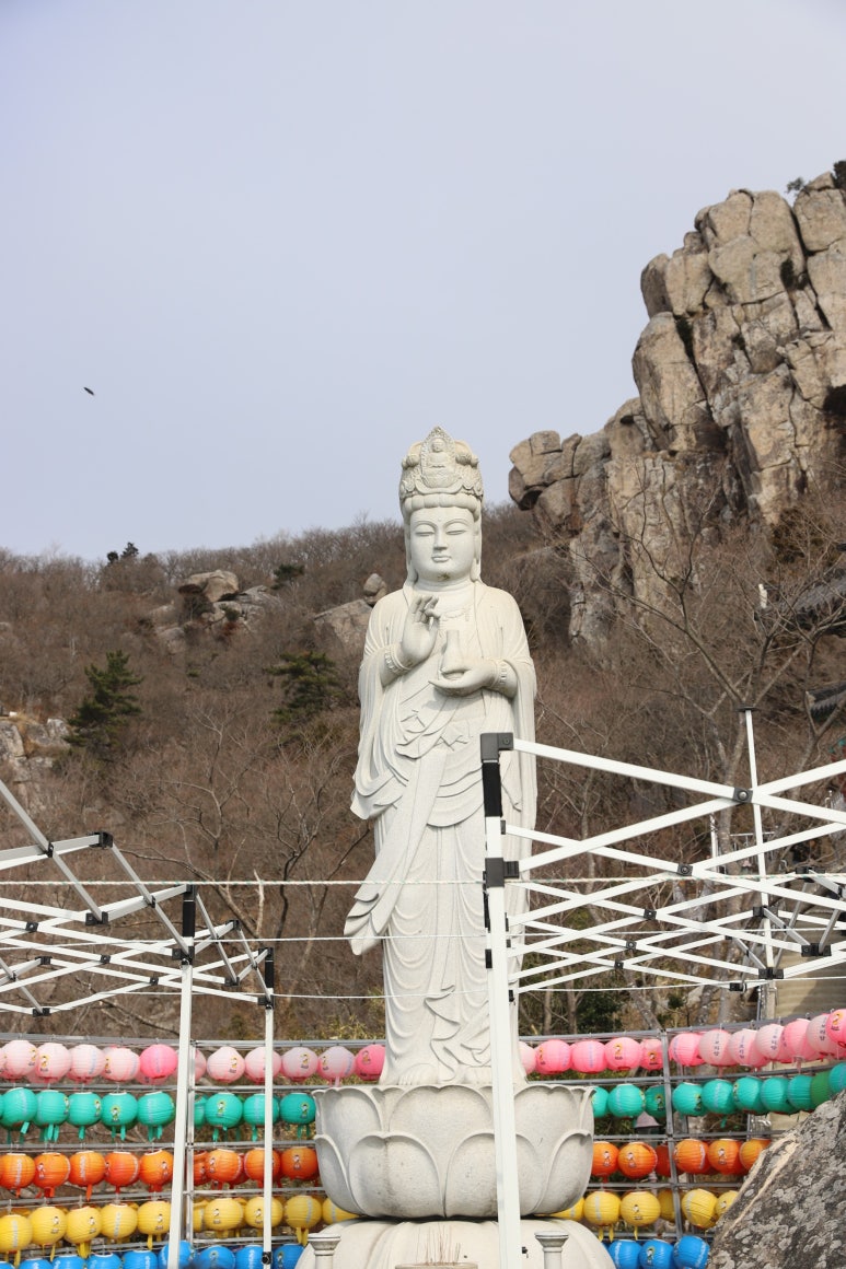 해바리숯불장어구이 이미지