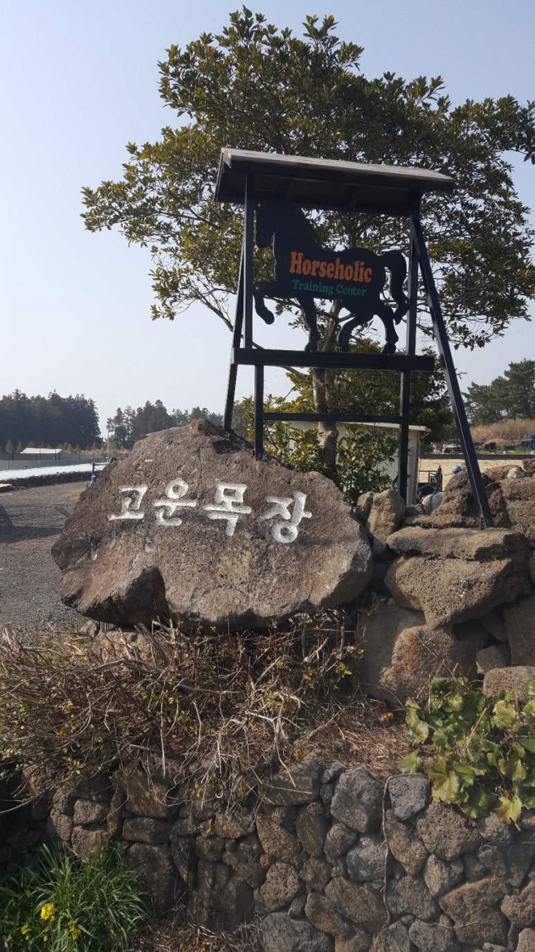 홀스홀릭포니클럽 이미지