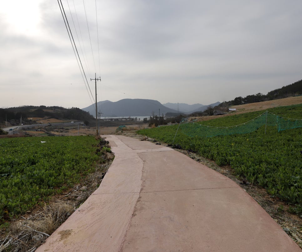산타 야영장 이미지