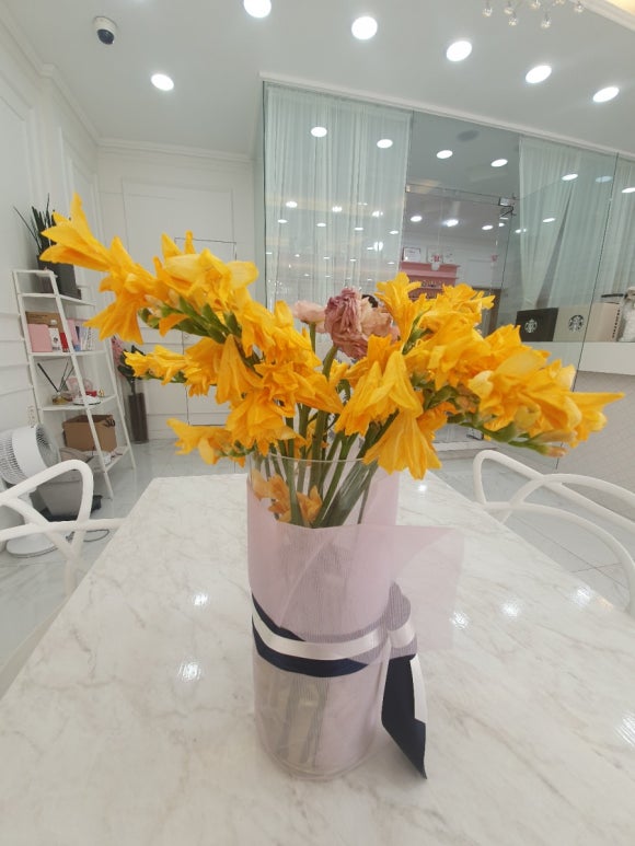 마리앙뜨와네일 이미지