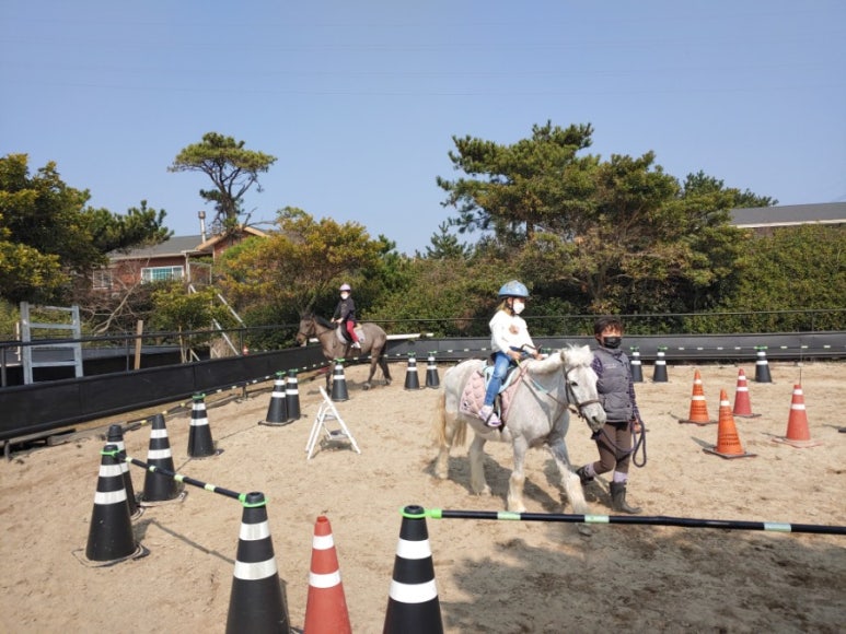홀스홀릭포니클럽 이미지