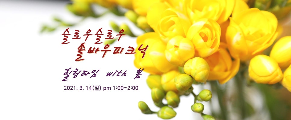슬로우피크닉 이미지