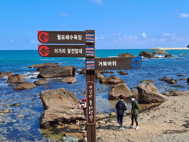 화진조경 이미지
