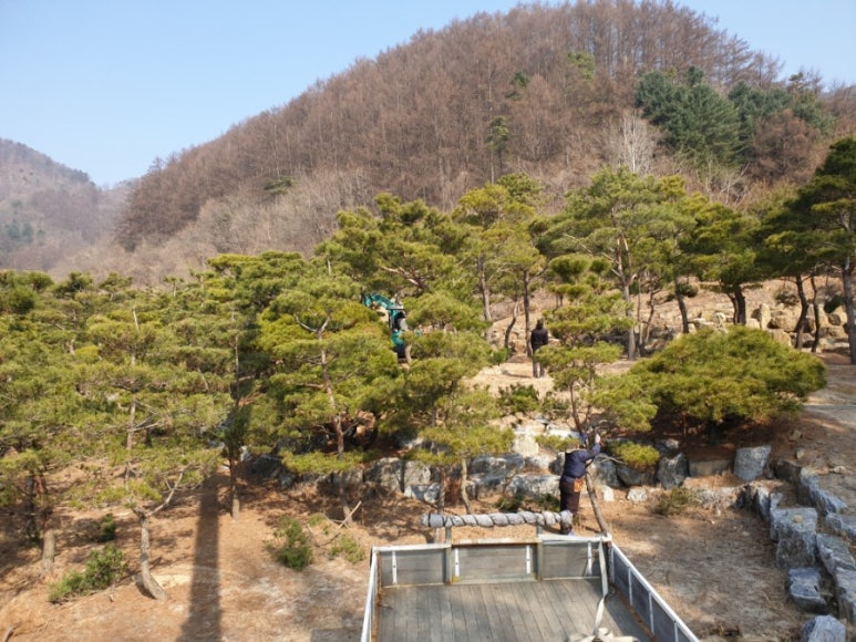 대룡조경 이미지
