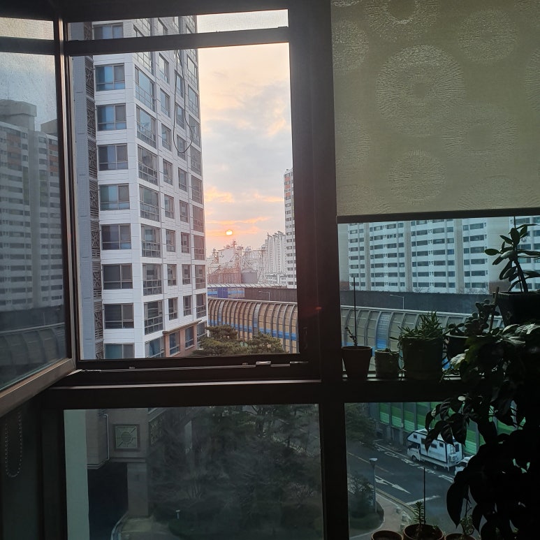 풍천복집 이미지