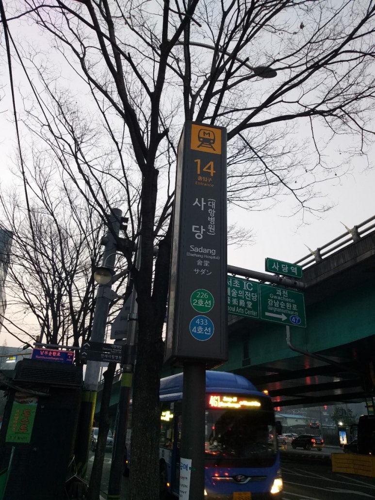 포레스트명례 이미지