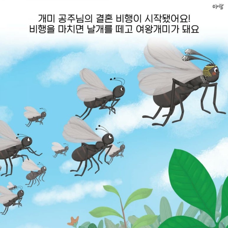 개미서점 이미지
