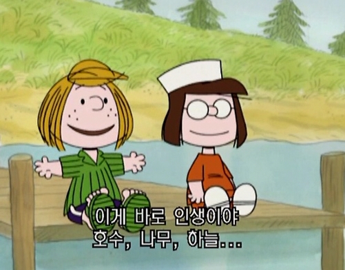 료기 이미지