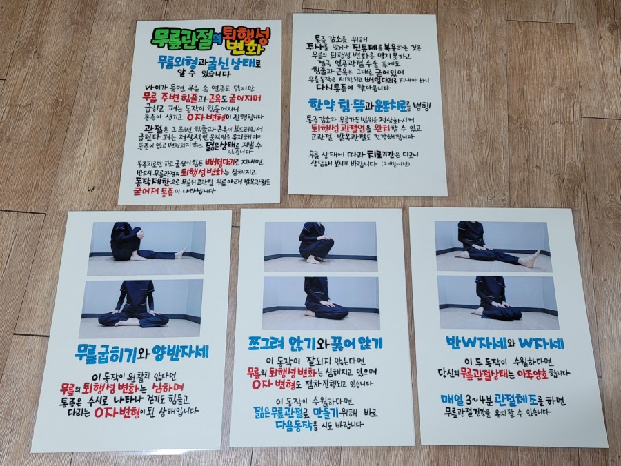 선지그리다 이미지