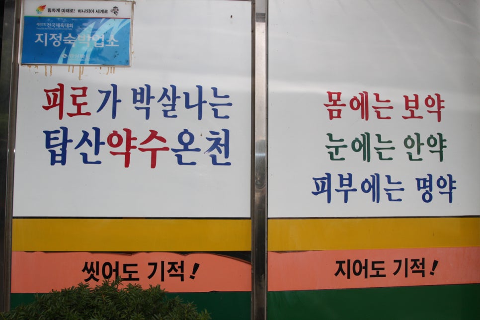 의성계란 이미지