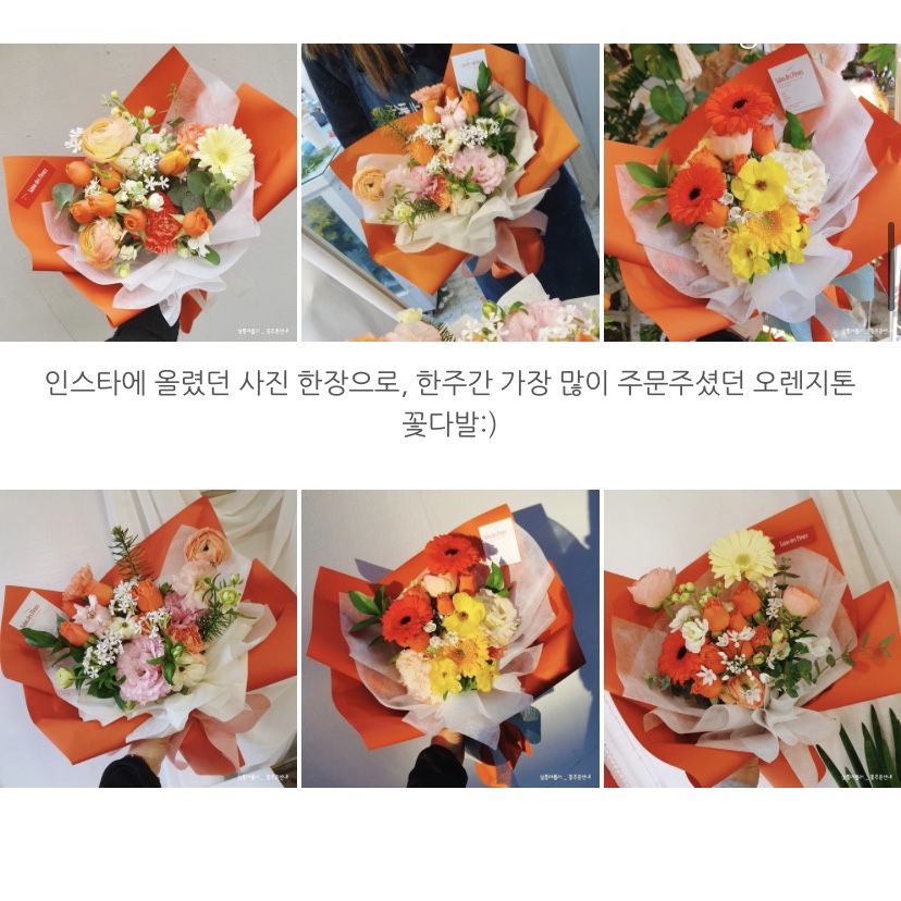 살롱데플러 이미지
