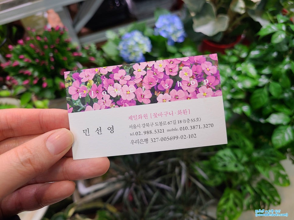 강북화원 이미지