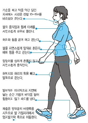 엘리트핏24 이미지