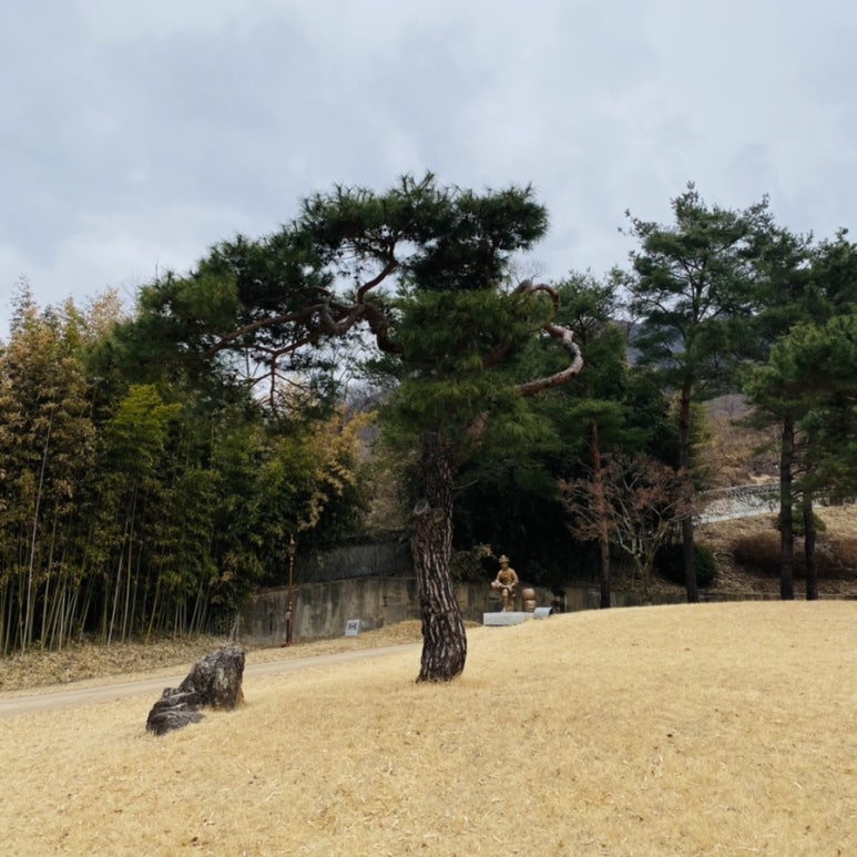 정인상사 이미지