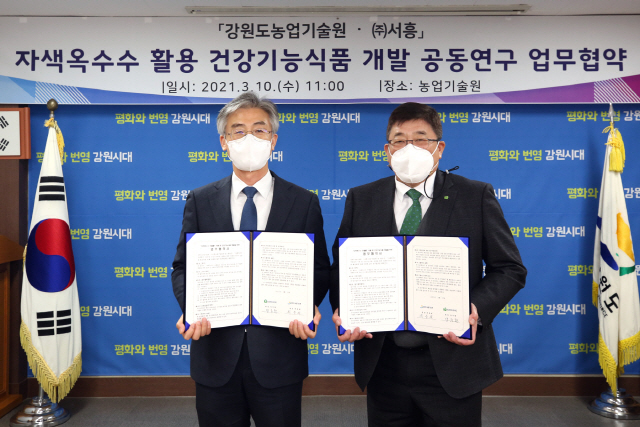 서흥개발 이미지