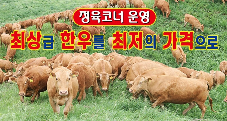 옥수식육식당 이미지