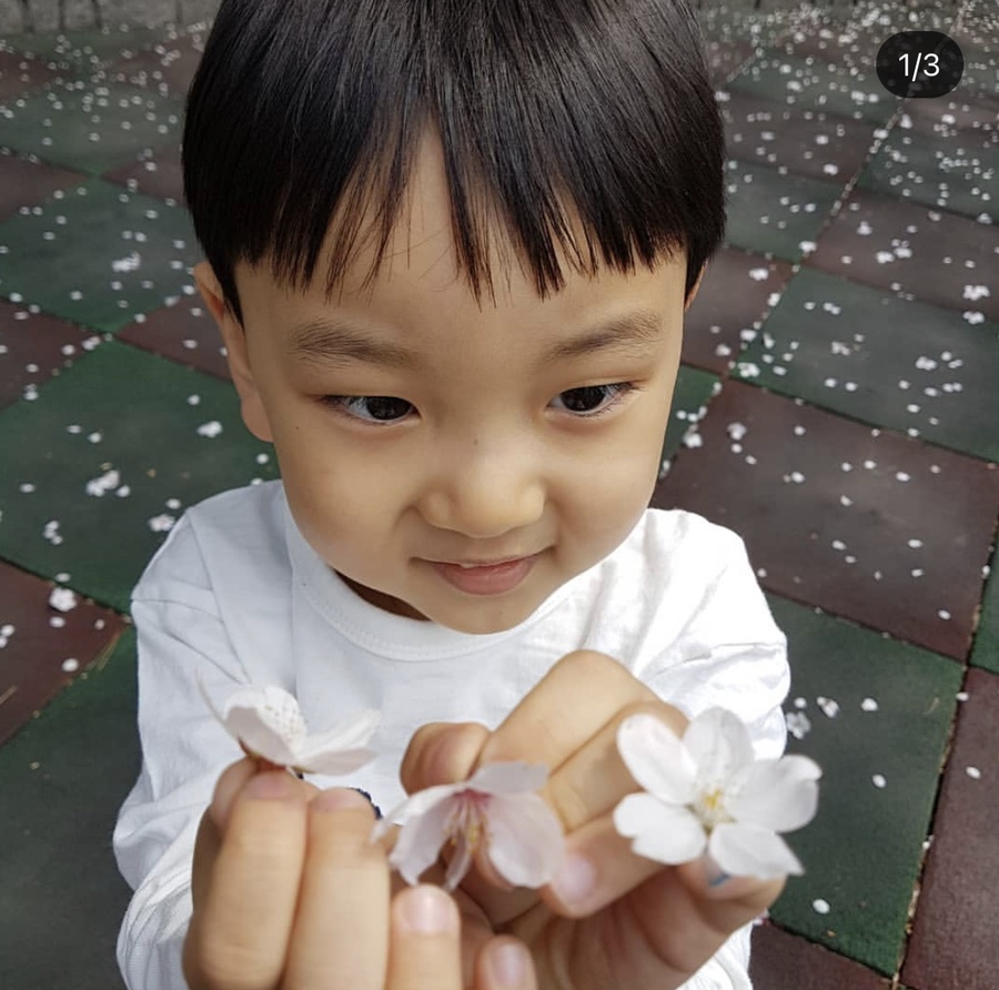 숭의유치원 이미지