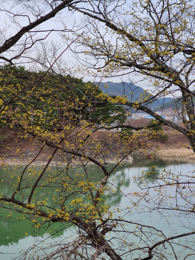 산신령과딸기나무 이미지