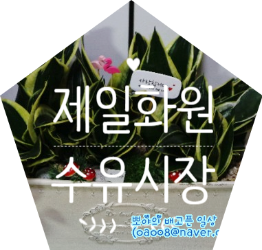강북화원 이미지
