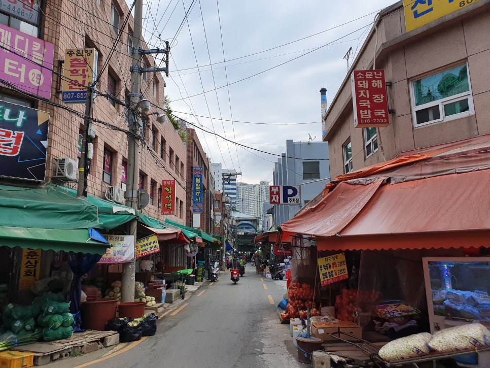 삼영식품 이미지