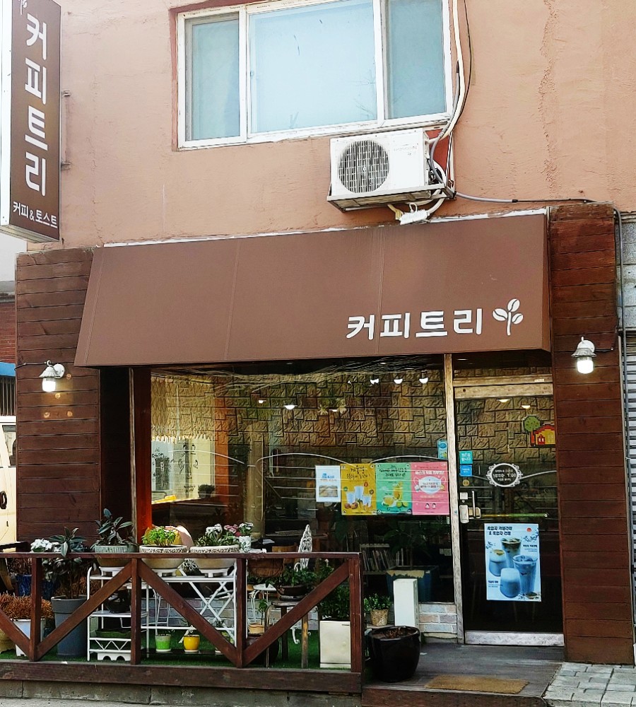 커피트리 이미지
