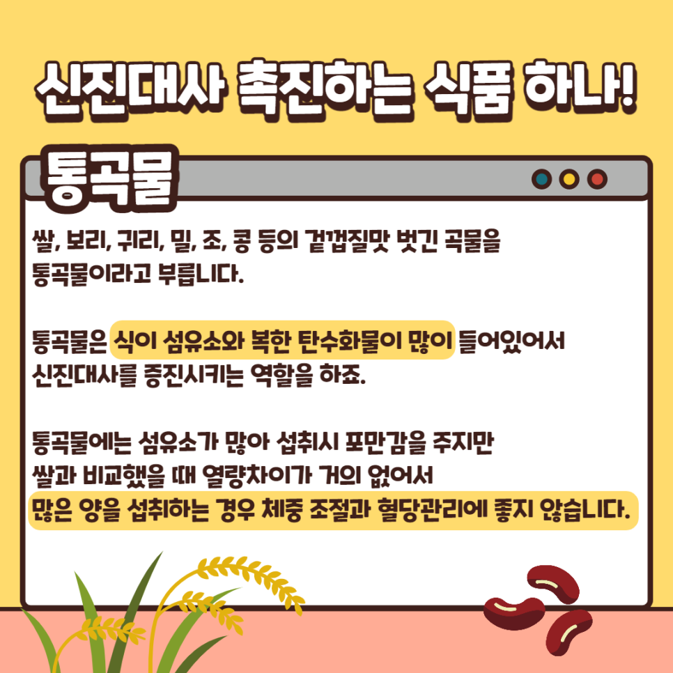신진식품 이미지