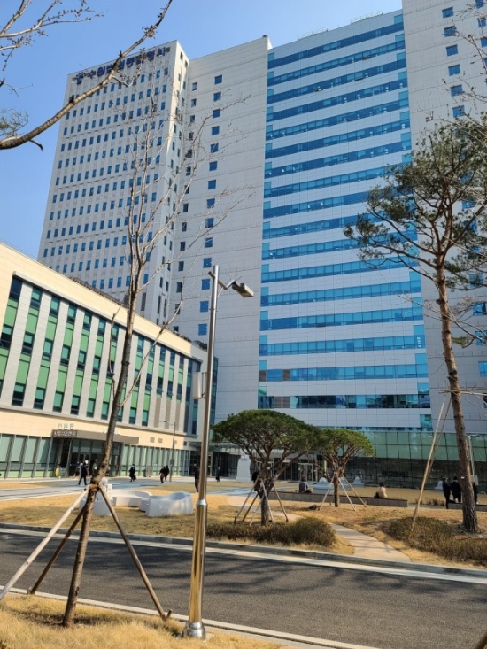가오리와방패연 이미지