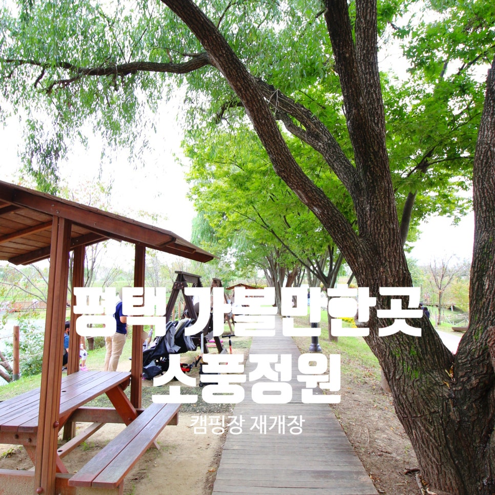 정원 캠핑장 이미지